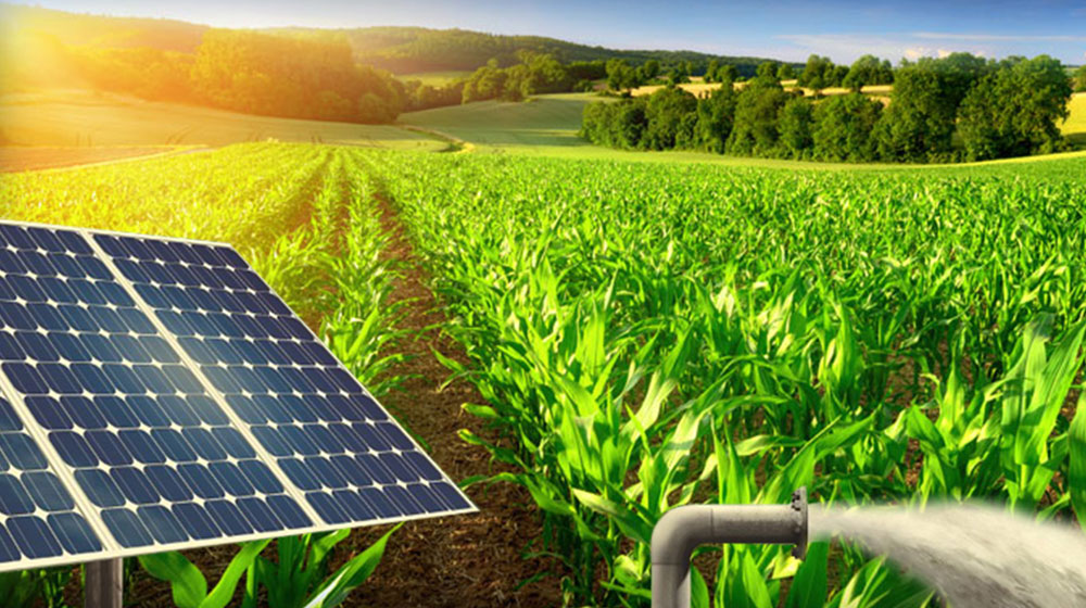 Énergie solaire agriculture