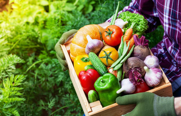 Cultivez vos propres légumes anciens