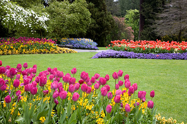 Le jardin écologique