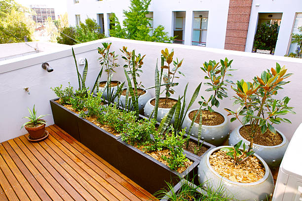 Le jardin écologique sur balcon