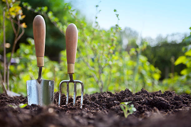 Le jardinage en lasagne