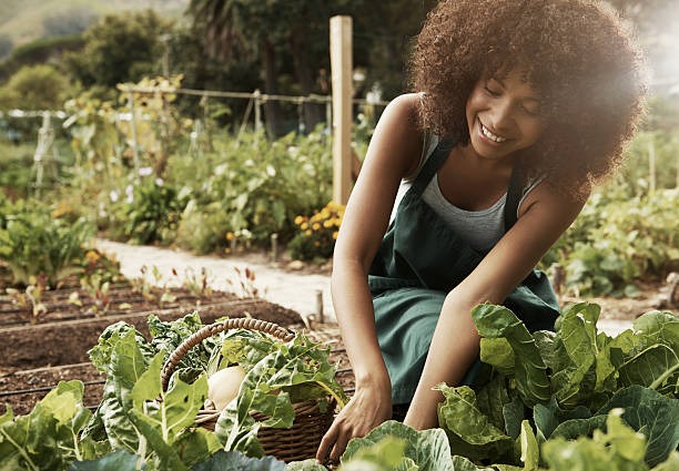 bienfaits jardin écologique pour santé et environnement