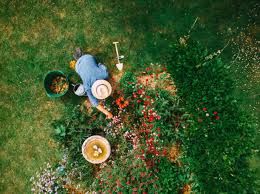 Aménager votre jardin pour été