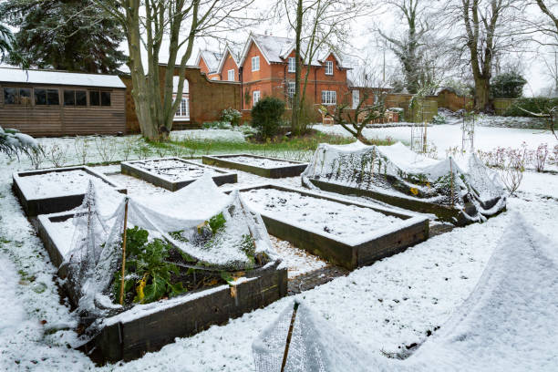 Préparer votre jardin pour l'hiver