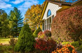 erreurs à éviter lors de aménagement jardin