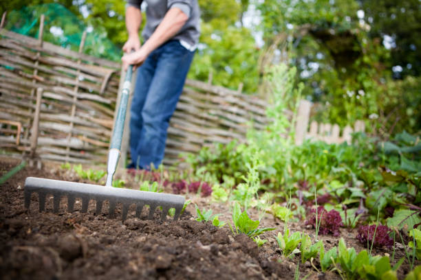 erreurs à éviter lors de l'aménagement de votre jardin