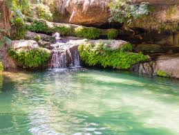 piscine naturelle