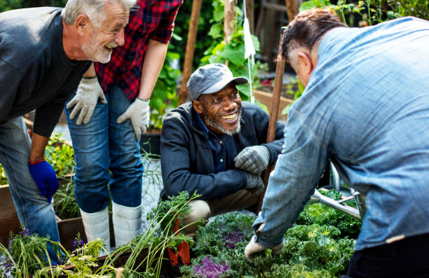 Le diagnostic de votre jardin