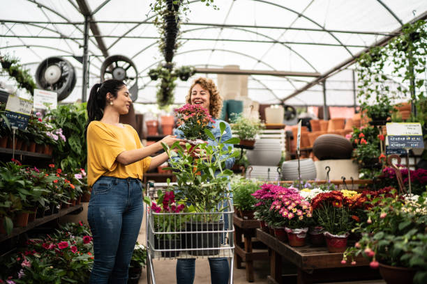 Les plantes et accessoires Jardiland