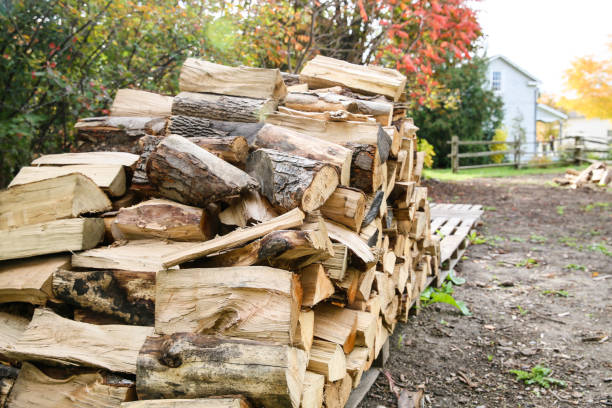 Bois de chauffage à vendre