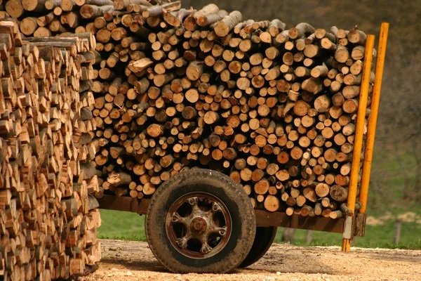 Bois de chauffage en livraison à domicile