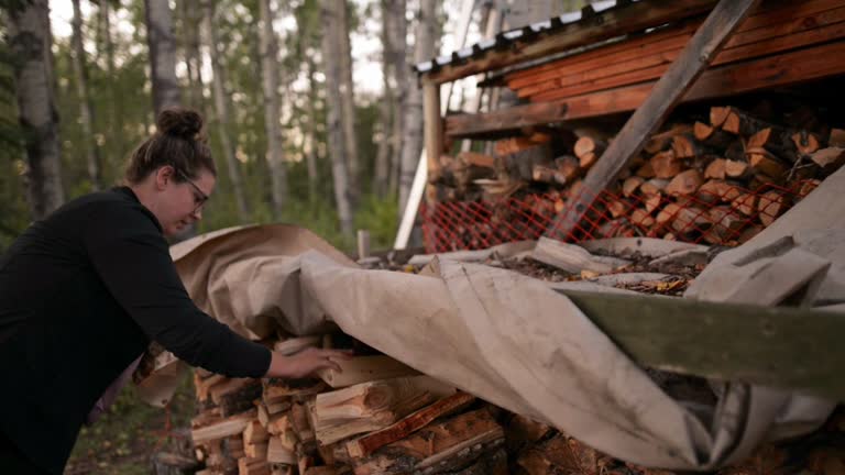 Bois de chauffage pour particuliers