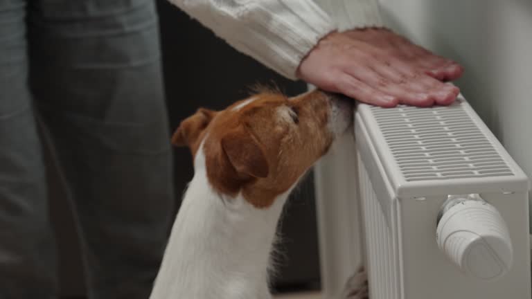 Bruit de radiateur