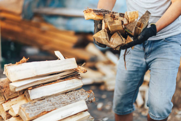 Où trouver du bois de chauffage à proximité