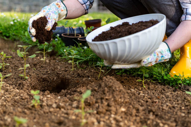 Aménagement compost