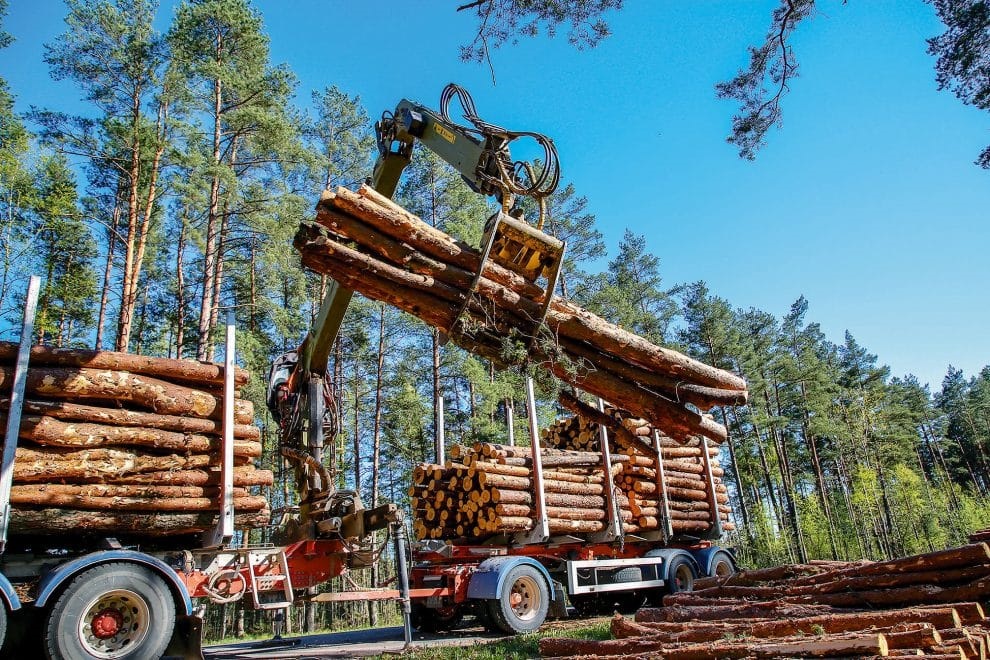 filière bois-énergie France